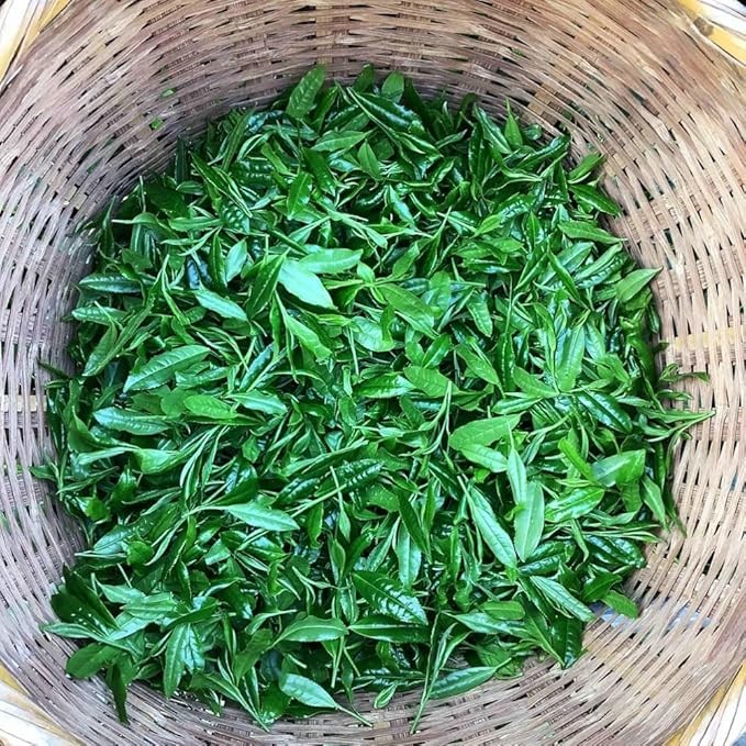 [The Gyokuro] Ultimate Superior Luxury "Gyokuro" green tea called "Yame Traditional Authentic Gyokuro" Carefully selected Direct trade by Mukoh Matcha (100g)